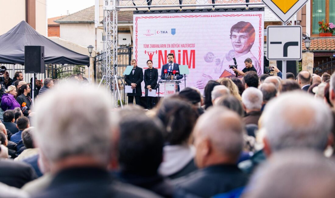 T.C. Kültür ve Turizm Bakanlığı, Türk İşbirliği ve Koordinasyon Ajansı