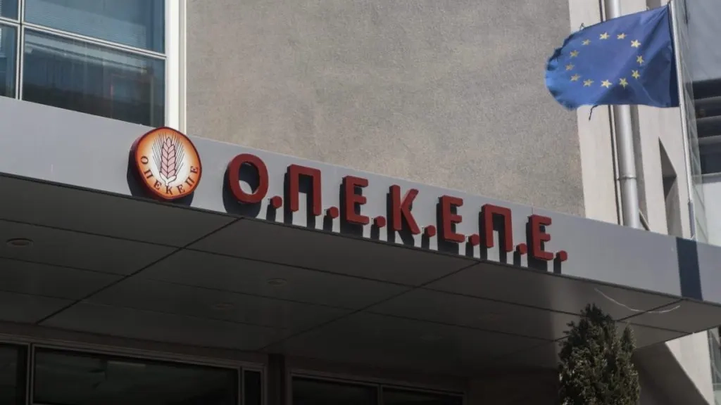 Mahkeme, sahte arazi beyanlarıyla tarım desteği alındığı iddialarına ilişkin davada