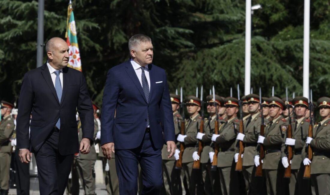 Enerji, güvenlik ve savunma, düzensiz göçle mücadele, sanayinin ve ileri