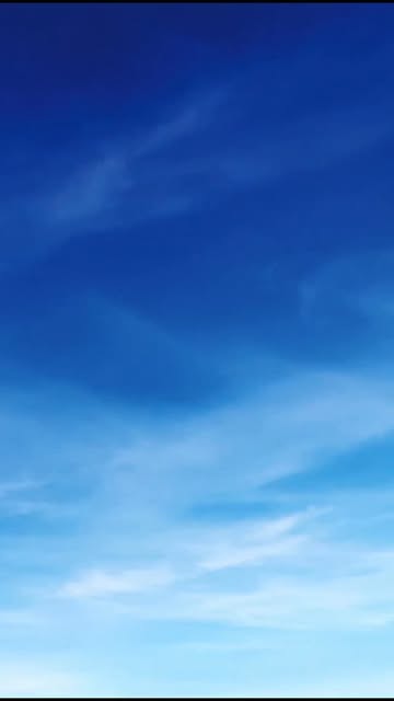 Sırbistan’da Birlik ve Özgürlük Günü Coşkuyla Kutlandı Sırbistan‘da bugün, birlik,