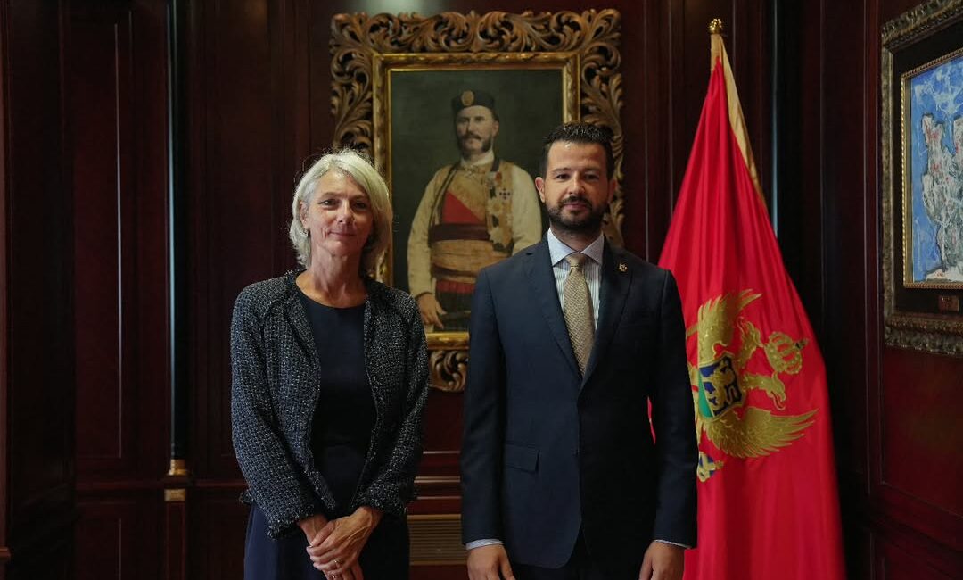Montenegro’dan BM’ye Destek ve Yeni Rezident Koordinatör Karşılama Montenegro Cumhurbaşkanı