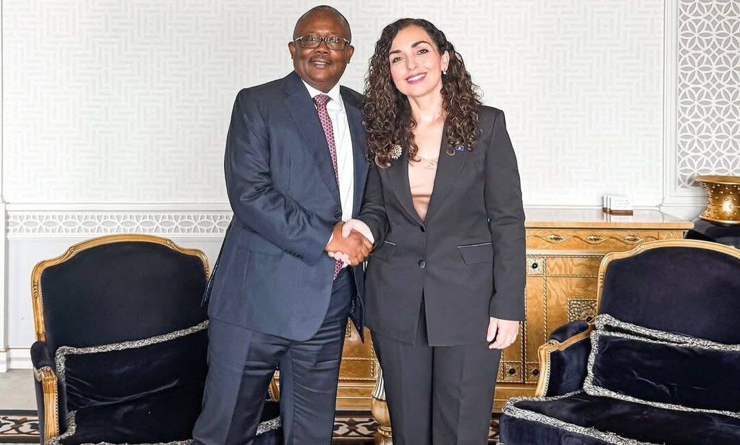 Kosova Cumhurbaşkanı Osmani, Gine Bissau Cumhurbaşkanı ile Buluştu Kosova Cumhurbaşkanı